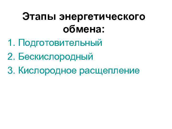 Этапы энергетического обмена: 1. Подготовительный 2. Бескислородный 3. Кислородное расщепление 