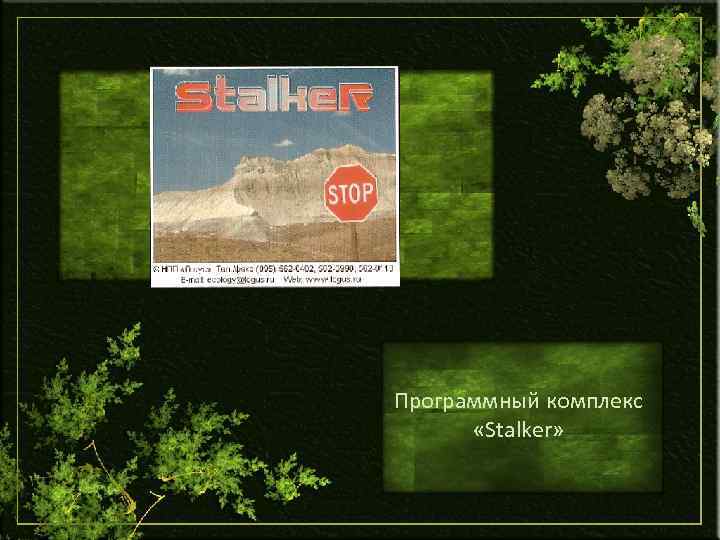 Программный комплекс «Stalker» 