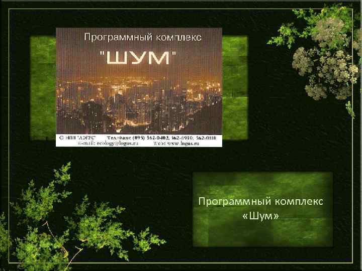 Программный комплекс «Шум» 