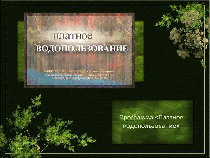 Программа «Платное водопользование» 