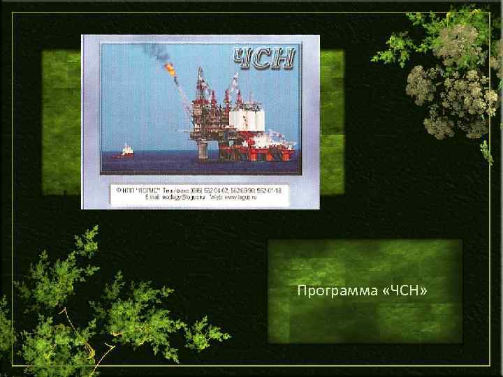 Программа «ЧСН» 