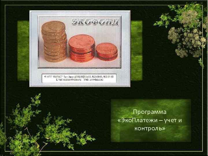 Программа «Эко. Платежи – учет и контроль» 