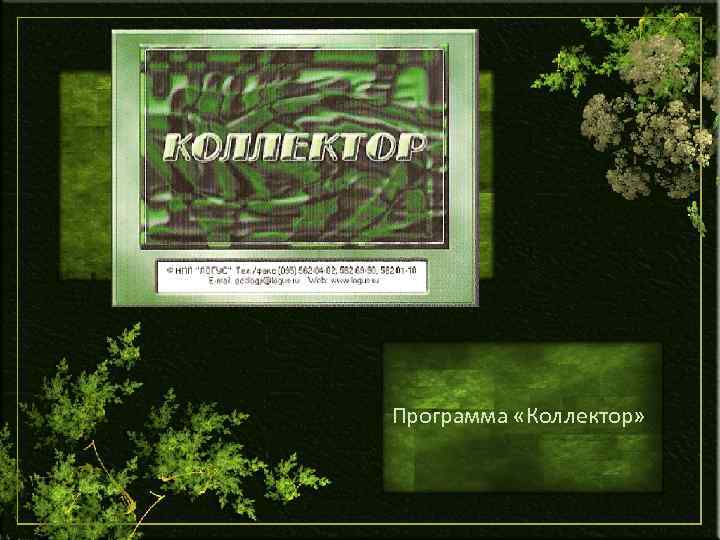 Программа «Коллектор» 