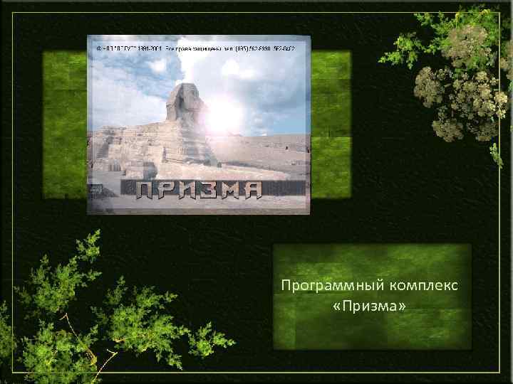 Программный комплекс «Призма» 