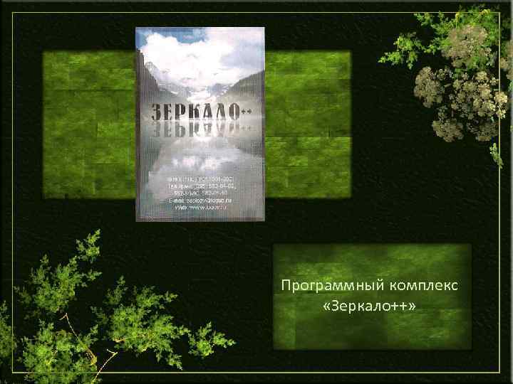 Программный комплекс «Зеркало++» 