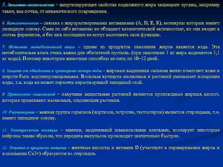 5. Защитно-механическая – амортизирующие свойства подкожного жира защищают органы, например такие, как почки, от