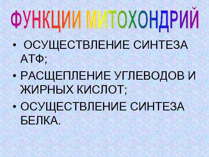  • ОСУЩЕСТВЛЕНИЕ СИНТЕЗА АТФ; • РАСЩЕПЛЕНИЕ УГЛЕВОДОВ И ЖИРНЫХ КИСЛОТ; • ОСУЩЕСТВЛЕНИЕ СИНТЕЗА