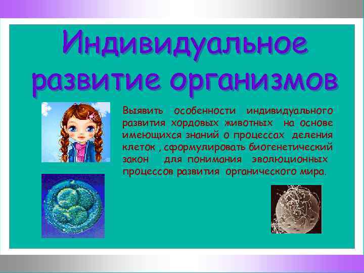 Индивидуальное развитие организмов Выявить особенности индивидуального развития хордовых животных на основе имеющихся знаний о