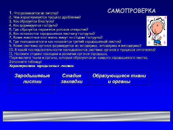 САМОПРОВЕРКА 1. Что развивается из зиготы? 2. Чем характеризуется процесс дробления? 3. Как образуется
