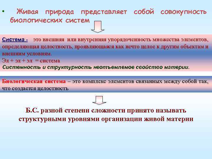  • Живая природа представляет собой совокупность биологических систем это внешняя или внутренняя упорядоченность