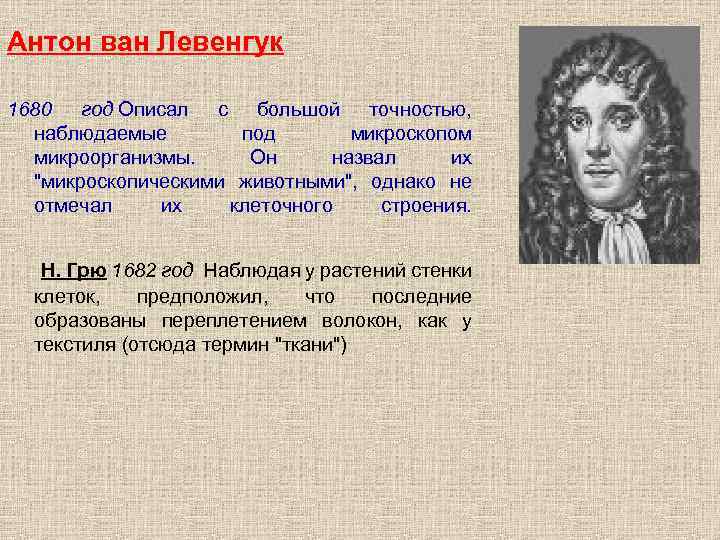 Антон ван Левенгук 1680 год Описал с большой точностью, наблюдаемые под микроскопом микроорганизмы. Он