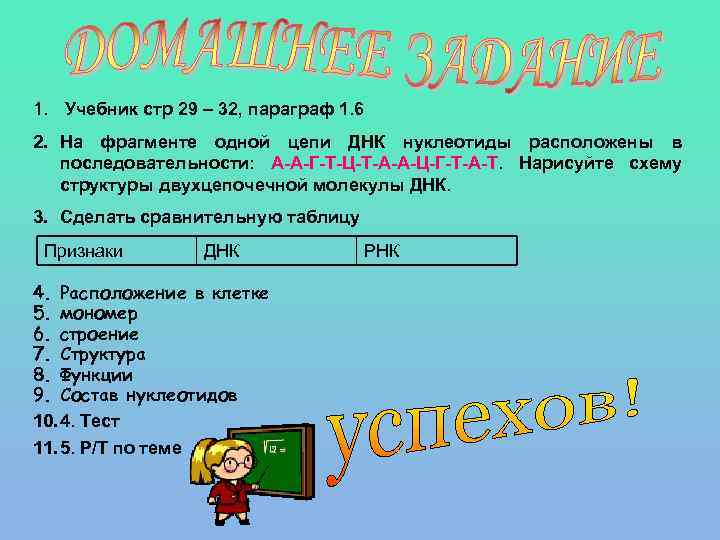 1. Учебник стр 29 – 32, параграф 1. 6 2. На фрагменте одной цепи