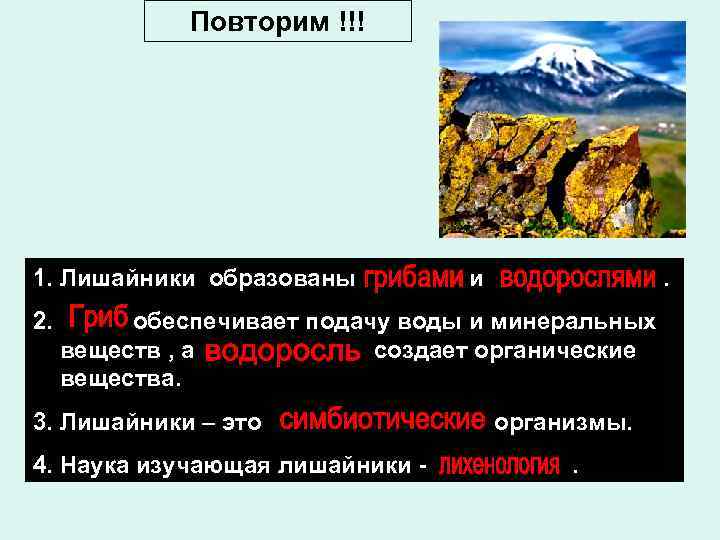 Повторим !!! 1. Лишайники образованы 2. и . обеспечивает подачу воды и минеральных веществ