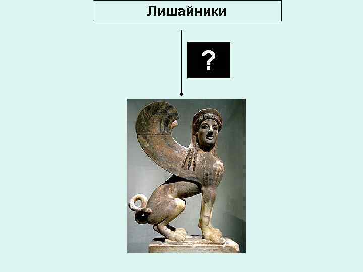 Лишайники ? 