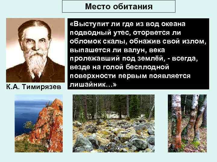 Место обитания К. А. Тимирязев «Выступит ли где из вод океана подводный утес, оторвется