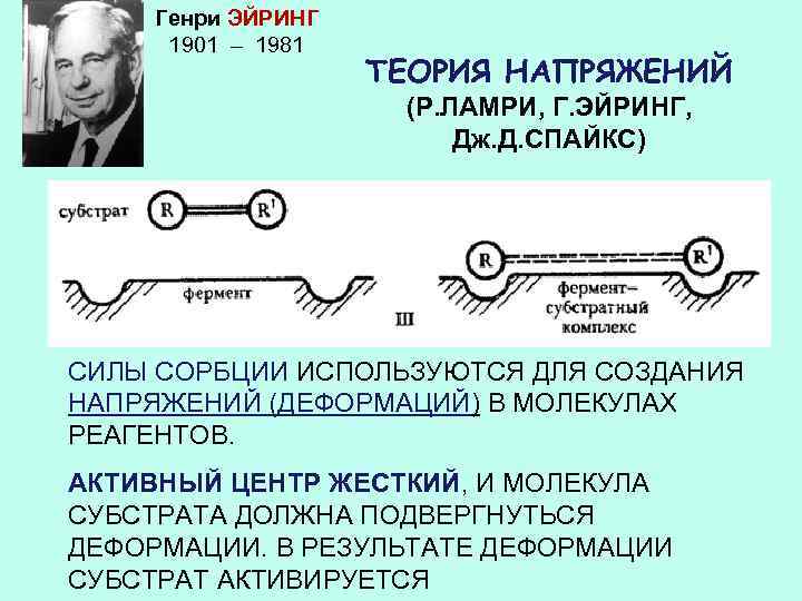 Напряжение механизмов. Теория напряжения Ламри. Ковалентный катализ ферментов. Теории ферментативного катализа. Теория напряжения ферменты.