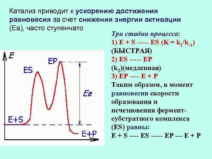 Катализ