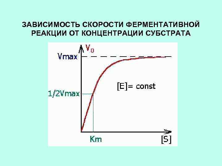 Зависимость скорости от концентрации