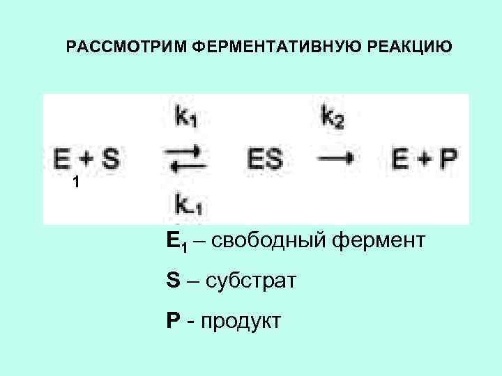 РАССМОТРИМ ФЕРМЕНТАТИВНУЮ РЕАКЦИЮ 1 Е 1 – свободный фермент S – субстрат Р -