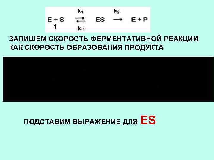 1 ЗАПИШЕМ СКОРОСТЬ ФЕРМЕНТАТИВНОЙ РЕАКЦИИ КАК СКОРОСТЬ ОБРАЗОВАНИЯ ПРОДУКТА ПОДСТАВИМ ВЫРАЖЕНИЕ ДЛЯ ES 