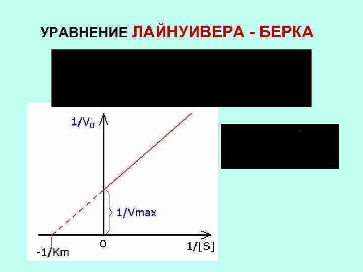 УРАВНЕНИЕ ЛАЙНУИВЕРА - БЕРКА 