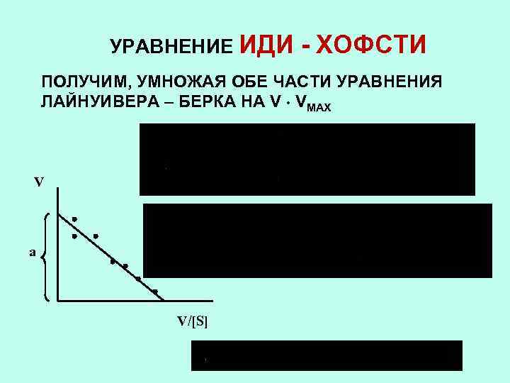 УРАВНЕНИЕ ИДИ - ХОФСТИ ПОЛУЧИМ, УМНОЖАЯ ОБЕ ЧАСТИ УРАВНЕНИЯ ЛАЙНУИВЕРА – БЕРКА НА V