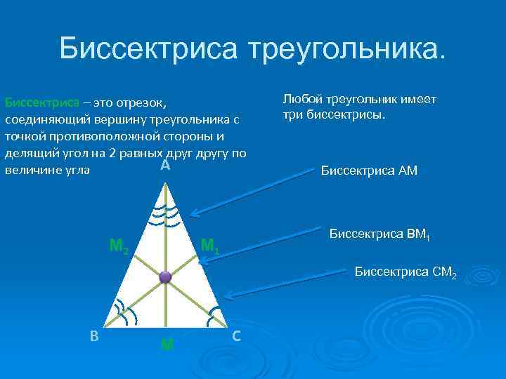 Биссектриса треугольника. Биссектриса – это отрезок, соединяющий вершину треугольника с точкой противоположной стороны и