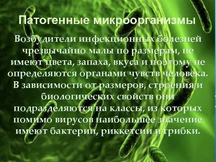 Патогенные микроорганизмы Возбудители инфекционных болезней чрезвычайно малы по размерам, не имеют цвета, запаха, вкуса