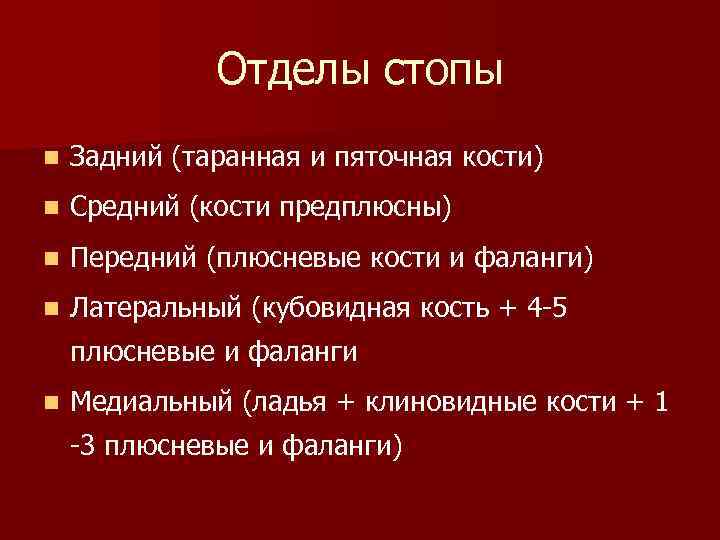 Отделы стопы n Задний (таранная и пяточная кости) n Средний (кости предплюсны) n Передний