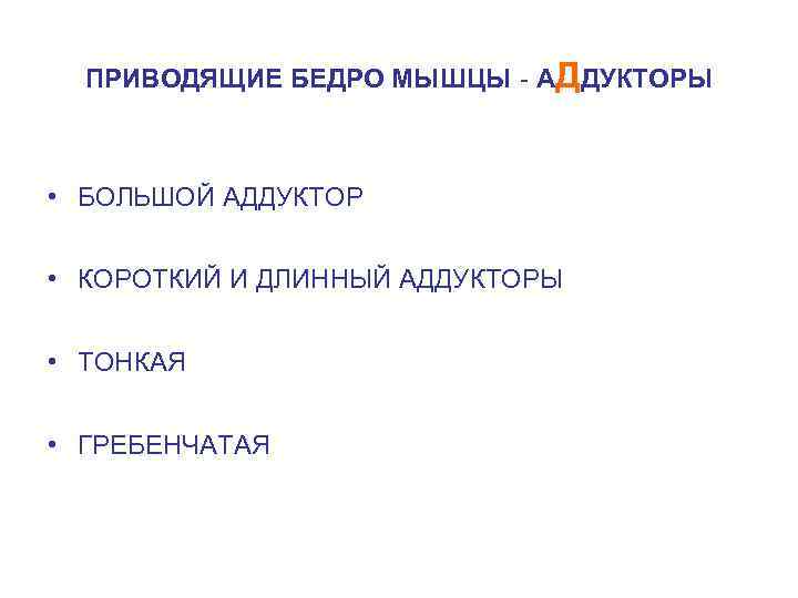 ПРИВОДЯЩИЕ БЕДРО МЫШЦЫ - АДДУКТОРЫ • БОЛЬШОЙ АДДУКТОР • КОРОТКИЙ И ДЛИННЫЙ АДДУКТОРЫ •