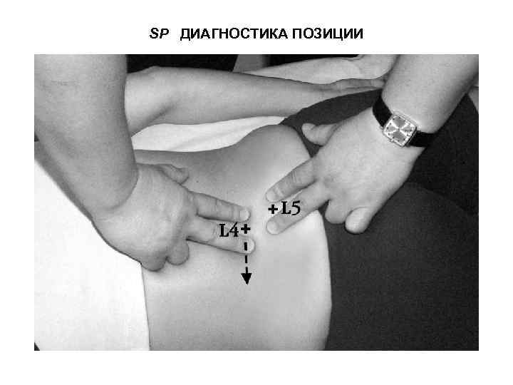 SP ДИАГНОСТИКА ПОЗИЦИИ 