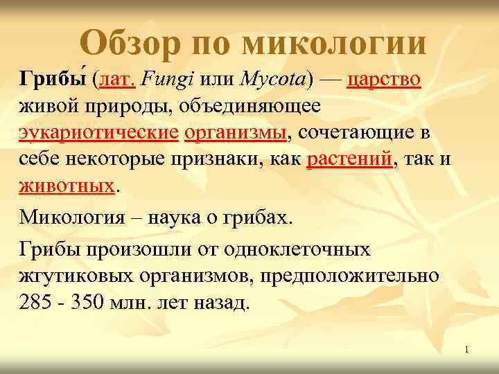 Обзор по микологии Грибы (лат. Fungi или Mycota) — царство живой природы, объединяющее эукариотические