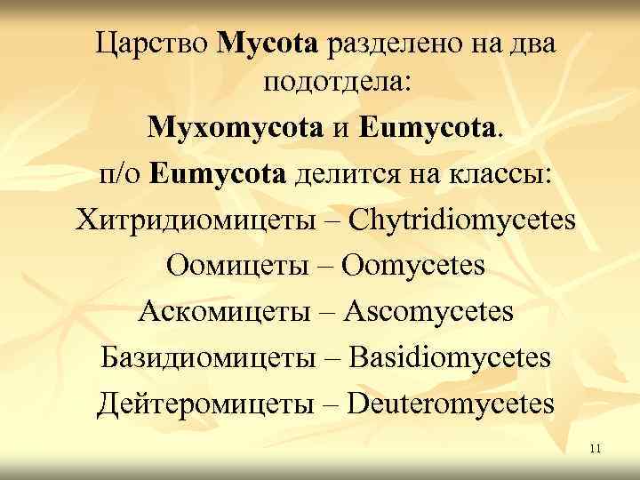 Царство Mycota разделено на два подотдела: Myxomycota и Eumycota. п/о Eumycota делится на классы: