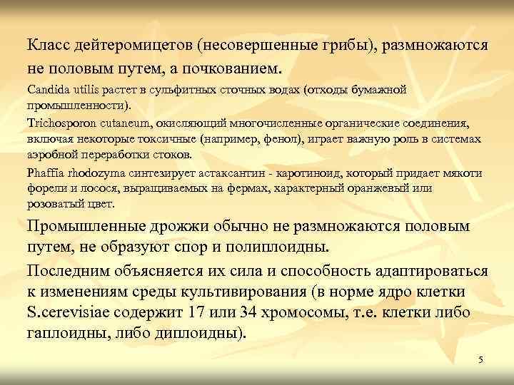 Класс дейтеромицетов (несовершенные грибы), размножаются не половым путем, а почкованием. Candida utilis растет в