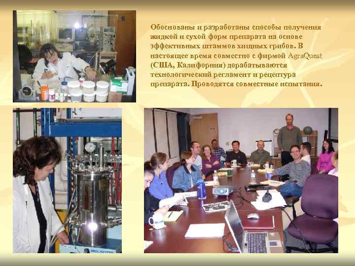 Обоснованы и разработаны способы получения жидкой и сухой форм препарата на основе эффективных штаммов