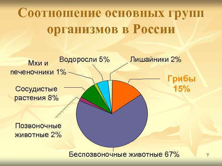 Соотношение основных групп организмов в России Мхи и Водоросли 5% печеночники 1% Сосудистые растения