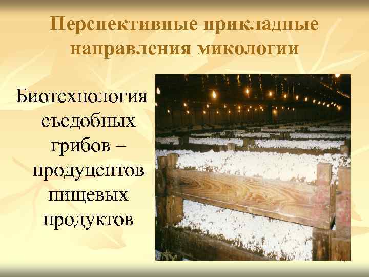 Перспективные прикладные направления микологии Биотехнология съедобных грибов – продуцентов пищевых продуктов 39 