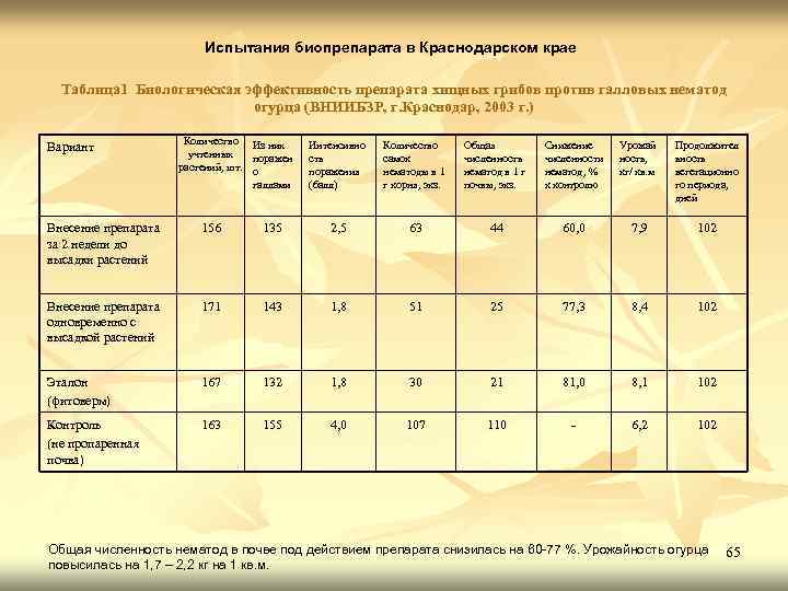 Испытания биопрепарата в Краснодарском крае Таблица 1 Биологическая эффективность препарата хищных грибов против галловых