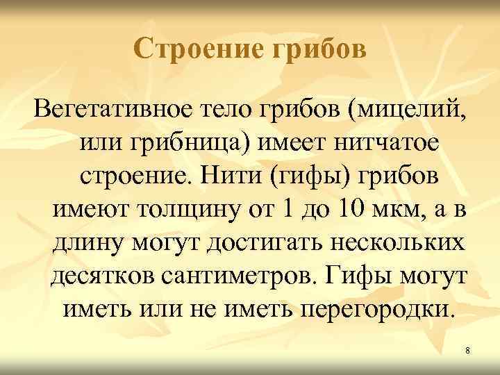 Строение грибов Вегетативное тело грибов (мицелий, или грибница) имеет нитчатое строение. Нити (гифы) грибов