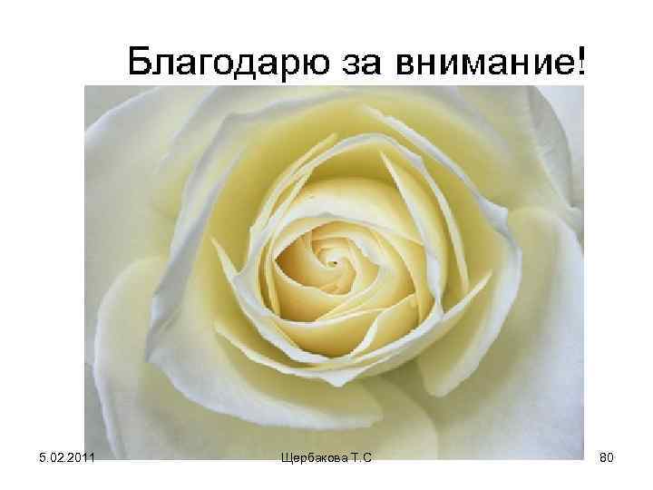 5. 02. 2011 Щербакова Т. С 80 