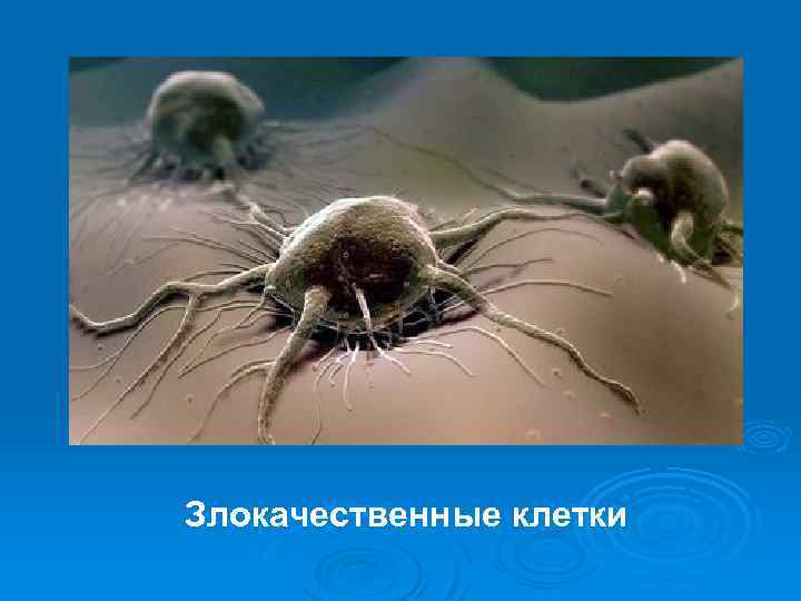 Злокачественные клетки 