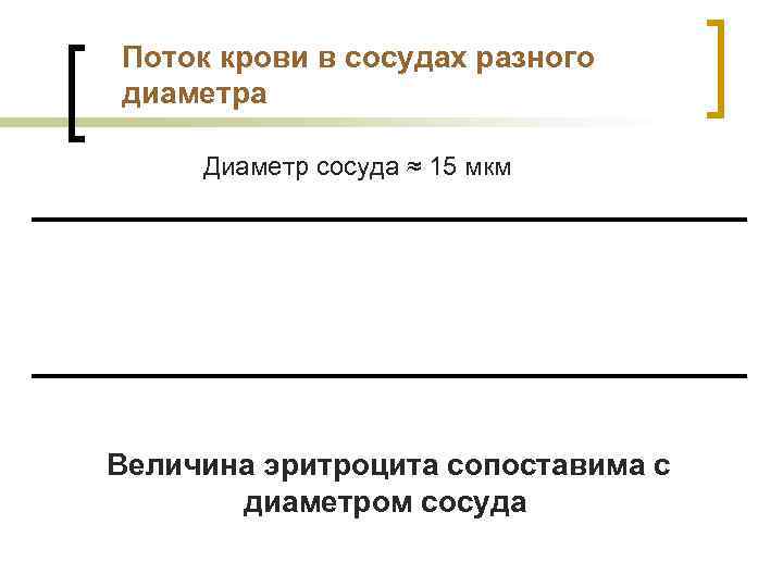 Поток крови в сосудах разного диаметра Диаметр сосуда ≈ 15 мкм Величина эритроцита сопоставима
