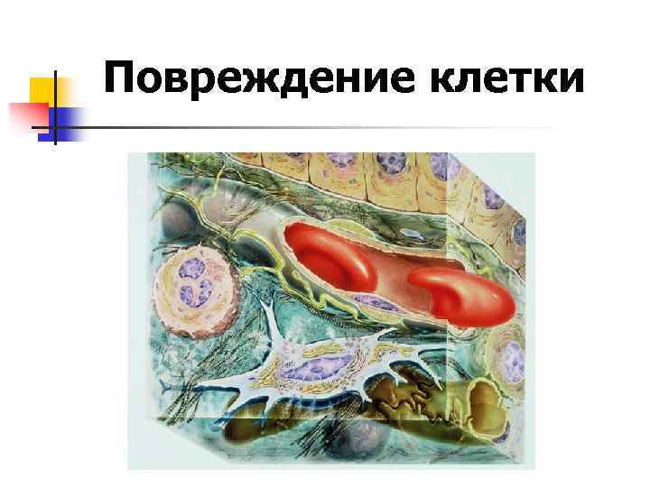 Повреждение клетки 