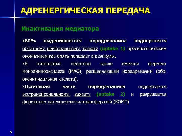 Адренергический нейрон. Инактивация норадреналина. Механизм адренергической передачи. Адренергическая нервная система. Альфа адреномиметик.