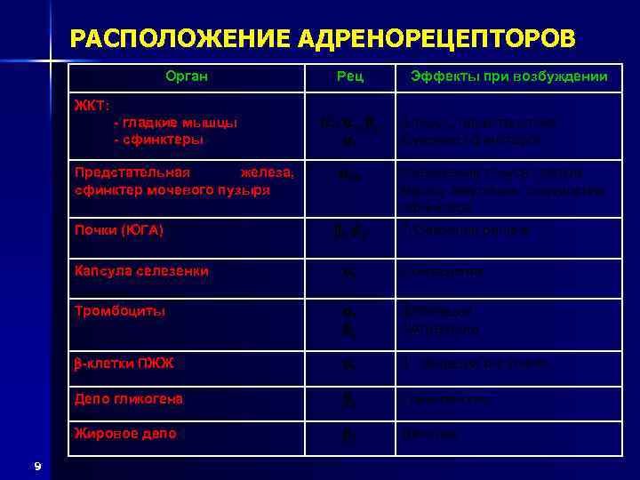 РАСПОЛОЖЕНИЕ АДРЕНОРЕЦЕПТОРОВ Орган ЖКТ: - гладкие мышцы - сфинктеры Предстательная железа, сфинктер мочевого пузыря