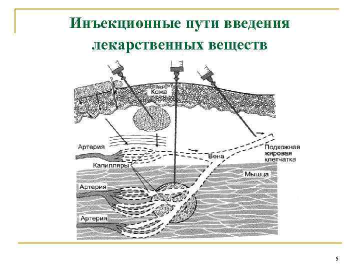 Пути и способы введения лекарственных средств схема