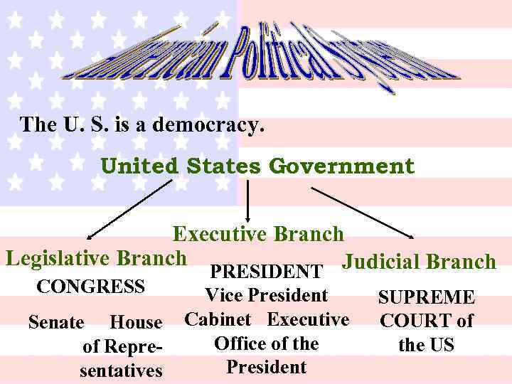 The U. S. is a democracy. United States Government Executive Branch Legislative Branch Judicial