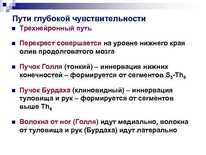 Пути глубокой чувствительности n Трехнейронный путь n Перекрест совершается на уровне нижнего края олив