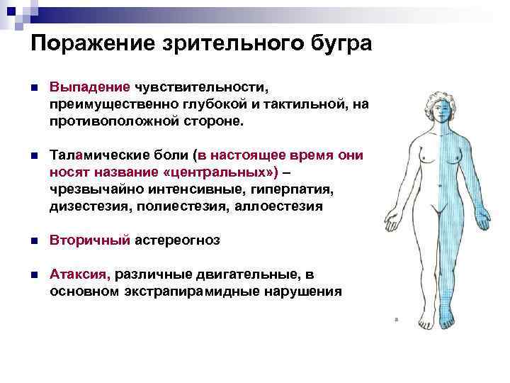 Поражение зрительного бугра n Выпадение чувствительности, преимущественно глубокой и тактильной, на противоположной стороне. n