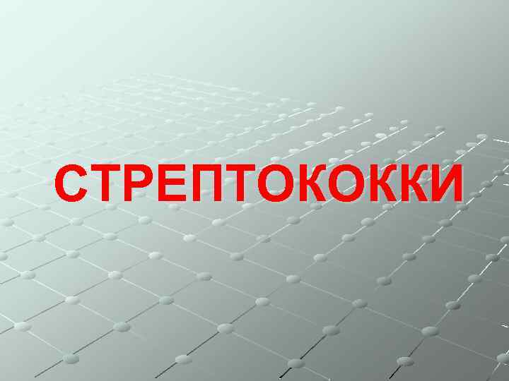 СТРЕПТОКОККИ 